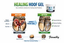 Load image into Gallery viewer, Hoof Gel (Hoof Infection Support)