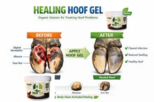 Load image into Gallery viewer, Hoof Gel (Hoof Infection Support)
