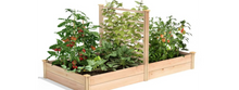 Load image into Gallery viewer, Premium Cedar Raised Garden Bed with Trellis, 4 ft. x 8 ft. x 11 in., RC489612PTRE
