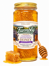 Load image into Gallery viewer, A glass jar of Farmbly Premium California Sage Blossom Honey with a gold lid, shown on a white background with a honeycomb piece and a wooden honey dipper in front.
